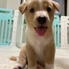 可愛い６兄妹　新葉男の子