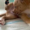 可愛い６兄妹　新葉男の子