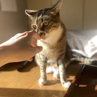 ピーターは勇敢王！