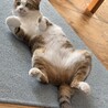の写真