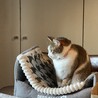 の写真