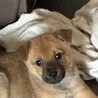 一旦募集停止おっとりしている女の子です サムネイル6
