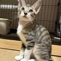 キョトン顔がたまらない♡ セラ♂