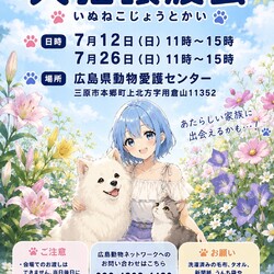 犬猫譲渡会