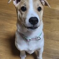 活発なおんなのこ