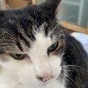 人なれバッチリ♪すずまろくん サムネイル2