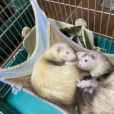 の写真