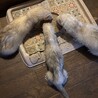 みんなで食事中