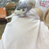 まりのりまり