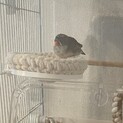 急募！里親募集中