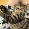 元気いっぱいの男の子 サムネイル5