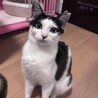 スリゴロ甘えんぼなココちゃん サムネイル1