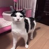 スリゴロ甘えんぼなココちゃん サムネイル2