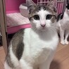 スリゴロ甘えんぼなモモちゃん☆ サムネイル3