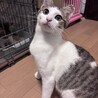 スリゴロ甘えんぼなモモちゃん☆ サムネイル4