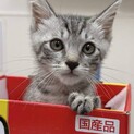 とってもキュートな　ジャイアン
