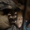たくさんのご応募ありがとうございました！ サムネイル2