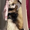 たくさんのご応募ありがとうございました！ サムネイル3
