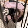 たくさんのご応募ありがとうございました！ サムネイル4