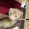 たくさんのご応募ありがとうございました！ サムネイル5