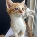 甘えん坊の天才！ハマちゃん‪‪❤︎‬