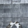 やまそ
