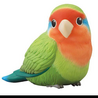 ペンギョン