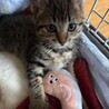 ゴロゴロ甘えんぼ女子♡なずな サムネイル2