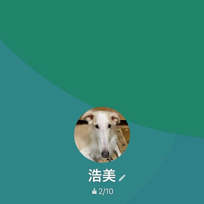 ここ 姫ちゃんのカバー写真