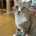 キキ⭐︎心身ともに美人な長女