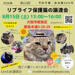 LiveLife譲渡会inキャットソシオンギャラリー サムネイル1