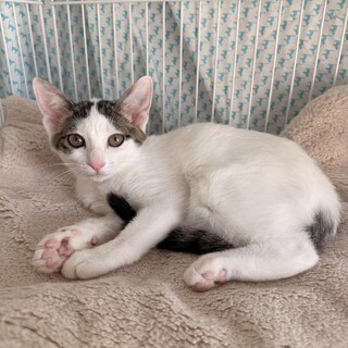渚ちゃん