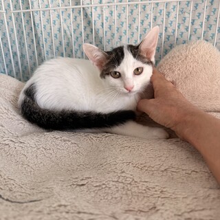 波くん