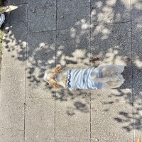 グラス