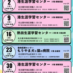 ▼猫の譲渡会▼名古屋市港区
