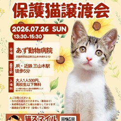 ねこの譲渡会@京田辺市