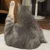 の写真