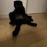 の写真
