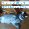 グレーで美形な男の子！ サムネイル4