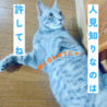 グレーで美形な男の子！ サムネイル6