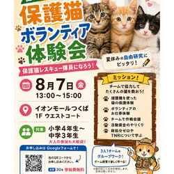 保護猫ボランティア体験会
