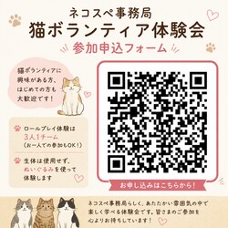 保護猫ボランティア体験会 サムネイル2