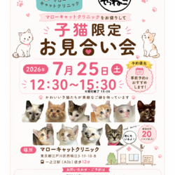 子猫限定お見合い会