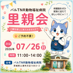 CAPIN  パルTNR動物福祉病院 保護猫里親会