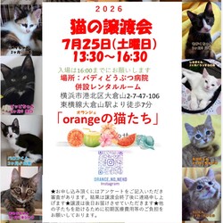 orangeの猫たちの譲渡会IN大倉山