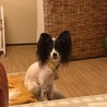 の写真