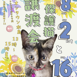 保護猫譲渡会（予約不要）