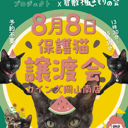 保護猫譲渡会（予約不要）