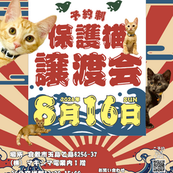 保護猫譲渡会（予約制）