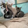 慎重な正統派イケメン！うみ君 ３カ月 サムネイル5